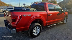 2023 Ford F-150 **Limited offer from Ford Motor Credit 1.9% for 72 months (credit must qualify for the 1.9%)) XLT