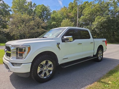 2021 Ford F-150 Platinum